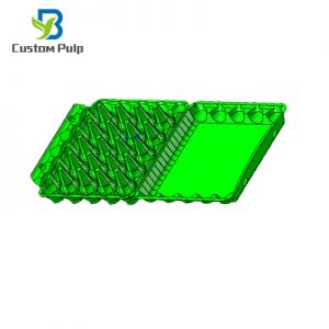 30 Cells Egg Carton 001