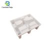 Dry Press Pulp Tray 003