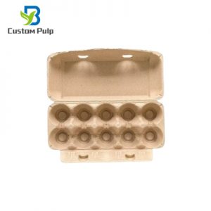Natural Color 10 Cells Egg Carton