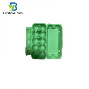 10 Cells Egg Cartons 004