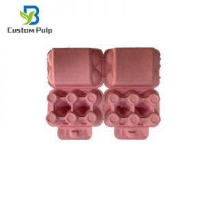 2x6 Cells Pulp Egg Carton 005