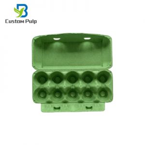 Green 10 Cells Egg Carton