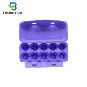 Purple 10 Pack Egg Carton