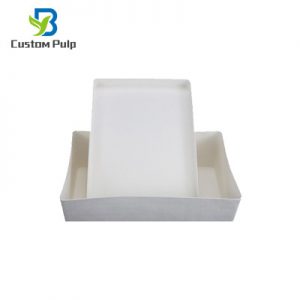 Fiber Pulp Cosmetics Tray 046
