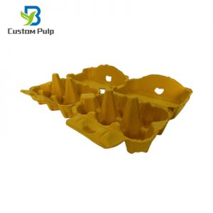 2x6 Cells Egg Carton 013