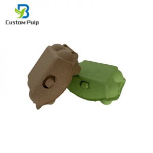 6 Cells Egg Cartons 029