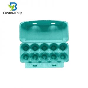 Cyan 10 Cells Pulp Egg Carton