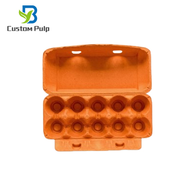 Orange 10 Packs Pulp Egg Carton Orange 10 Packs Pulp Egg Carton
