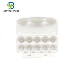 White 10 Cells Egg Cartons