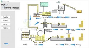 Molded Pulp Manufacturing Process Egg Carton Custom Pulp Packaging Factory