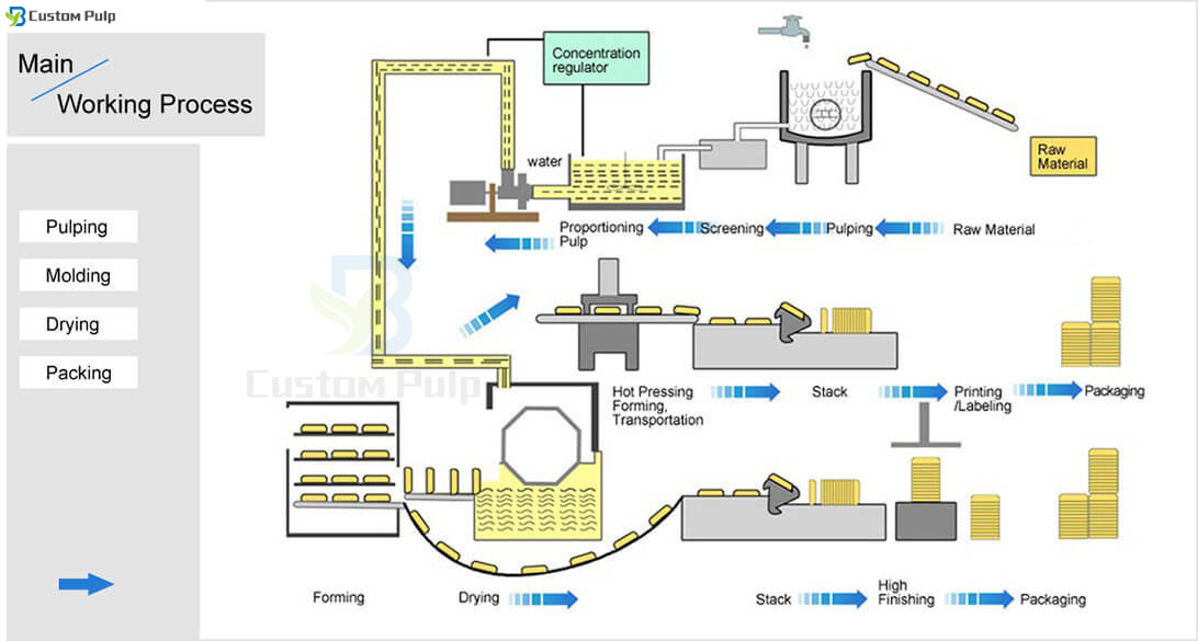 Molded Pulp Manufacturing Process Egg Carton Custom Pulp Packaging Factory