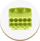 Apple green Egg Box lime green Egg Carton