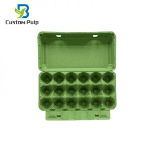 Green 18 Cells Egg Box