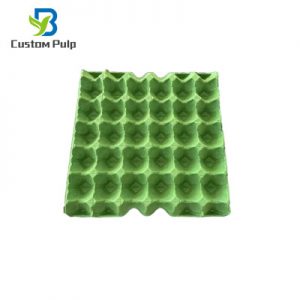 Green 30 Cavity Egg Tray 002