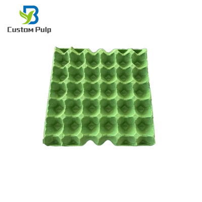 Green 30 Cavity Egg Tray 002 Green 30 Cavity Egg Tray 002