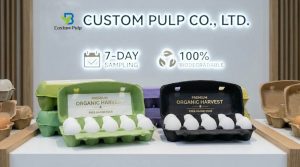 How to Choose the Right Pulp Egg Carton for Your Fresh Eggs China Egg Carton Factory Color Egg Carton Manufacturer American Supplier