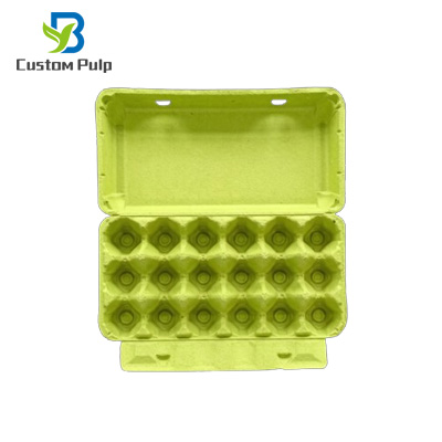 Lime Green 18 Pack Egg Carton