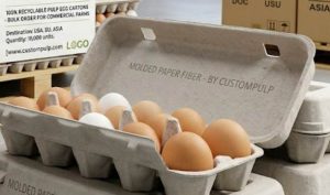 Recyclable pulp Egg Carton for Egg farms Egg Carton Factory