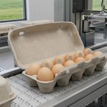 molded pulp Egg Carton for Egg Production Company Egg Carton Factory