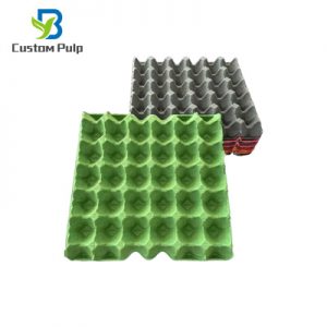 Black 30 Cells Pulp Egg Tray 006 Egg Tray Factory