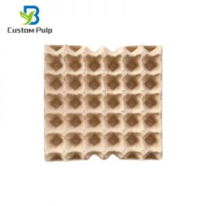 Natural 30 Cavities Pulp Egg Trays 005 Paper Egg Tray China Manufacturer Egg Tray Producer