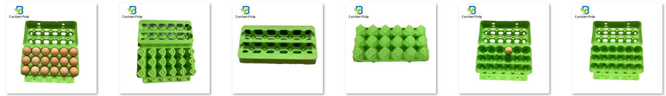 18 Pack View Top Egg Carton Factory Supplier