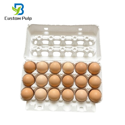 Blank ViewTop Egg Carton 18 Pack Egg Carton Factory direct wholesale Blank ViewTop Egg Carton 18 Pack Egg Carton Factory direct wholesale