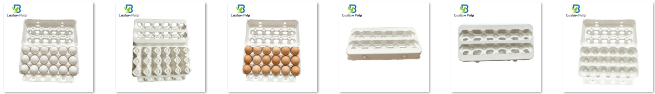 Blank ViewTop Egg Carton White 18 Pack Egg Carton Factory Molded Pulp Egg Tray Manufacturer America