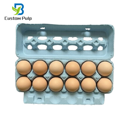 Blue 12 Eggs ViewTop Egg Carton Paper Egg Carton Factory Blue 12 Eggs ViewTop Egg Carton Paper Egg Carton Factory