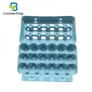 Blue 18 Pack ViewTop Egg Carton 014