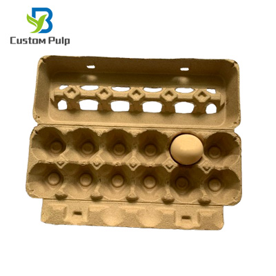 ViewTop 12 Holes Egg Carton Egg Packaging Factory ViewTop 12 Holes Egg Carton Egg Packaging Factory