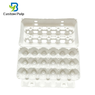 ViewTop Egg Carton 18 Pack 013 ViewTop Egg Carton 18 Pack 013