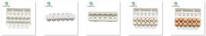 White View Top Egg Pack Paper Egg Box Pulp Egg Tray Factory