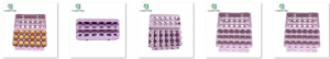 18 Pack Purple Egg Carton view Top Window Egg Pack Factory